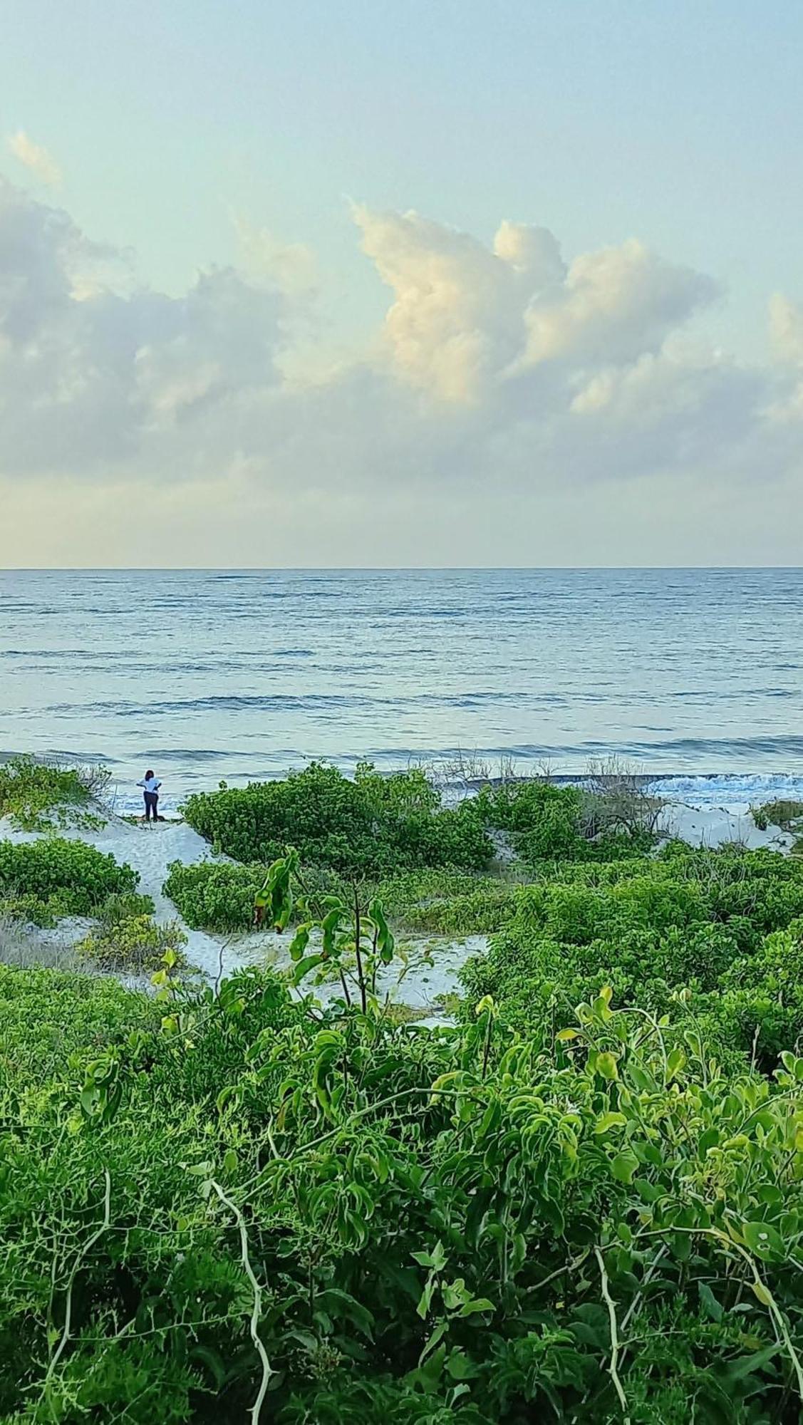 Bamba Kofi Tented Camp Watamu Luaran gambar