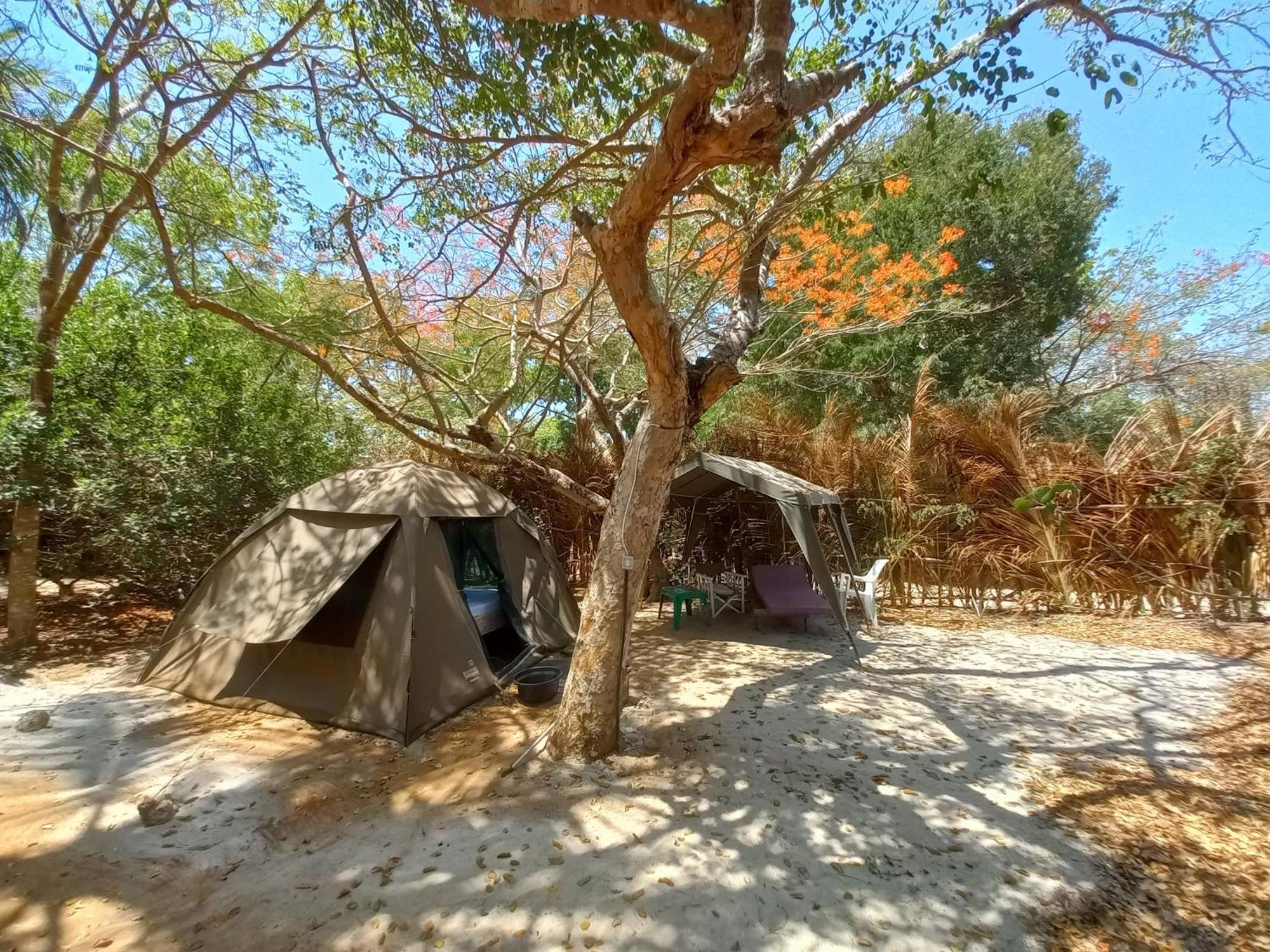 Bamba Kofi Tented Camp Watamu Bilik gambar